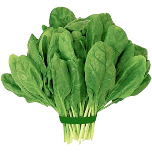 spinach freshleaf dubai uae