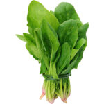 spinach freshleaf dubai uae