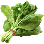 spinach freshleaf dubai uae