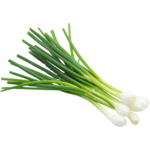 spring onion freshleaf uae