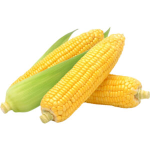 sweet corn freshleaf dubai uae