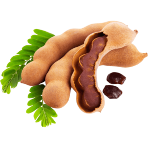 sweet tamarind dubai freshleaf uae