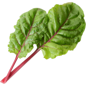 swiss chard freshleaf uae