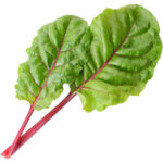 swiss chard ruby freshleaf dubai uae