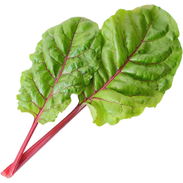 swiss chard ruby freshleaf dubai uae