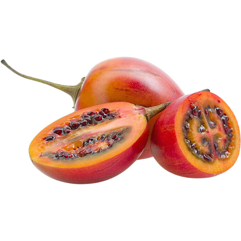 tamarillo freshleaf dubai uae