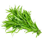 tarragon freshleaf dubai uae