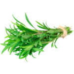 tarragon freshleaf dubai uae