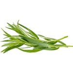 tarragon freshleaf dubai uae