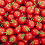 tomato cherry red freshleaf dubai uae