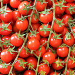 tomato cherry vine bunch freshleaf dubai uae