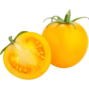 tomato cherry yellow freshleaf dubai uae