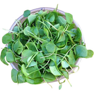 watercress freshleaf dubai uae