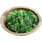 watercress freshleaf dubai uae