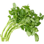 watercress freshleaf dubai uae