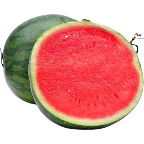 watermelon seedless freshleaf dubai uae