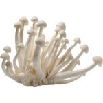 white shimeji mushroom freshleaf dubai uae