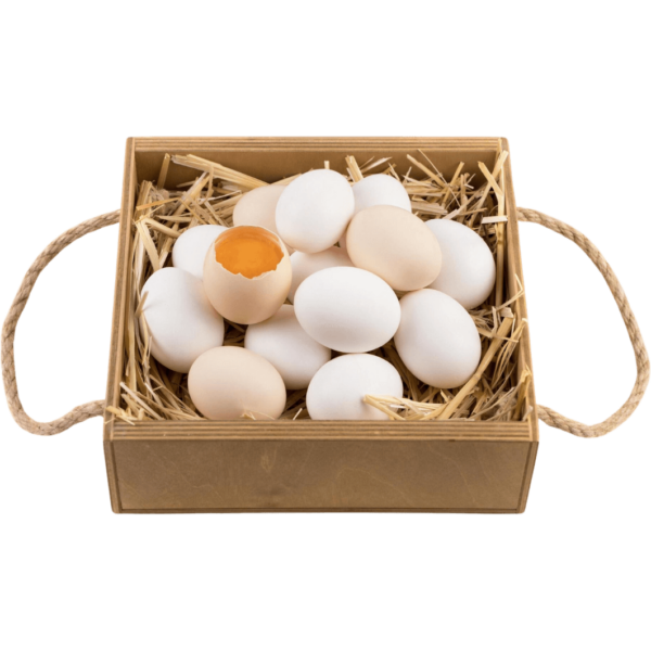 eco eggs dubai freshleaf uae