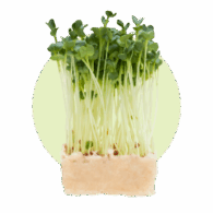freshleaf cress category