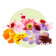 freshleaf flowers category