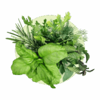 freshleaf herbs category