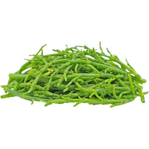 sea asparagus netherlands freshleaf dubai uae