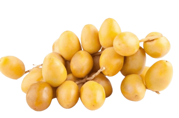 Barhi Dates freshleaf uae