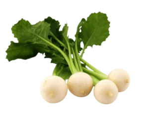 Mini Turnip freshleaf uae