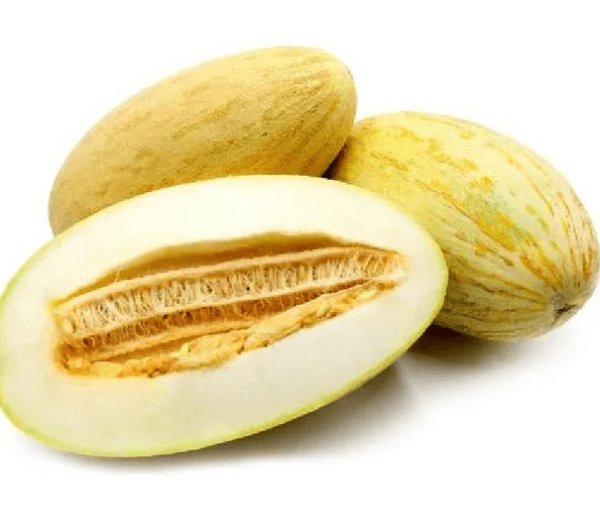 Sweet Melon Mashadi freshleaf uae