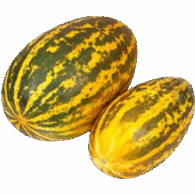 Vellary freshleaf uae