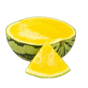Watermelon Yellow Seedless freshleaf uae