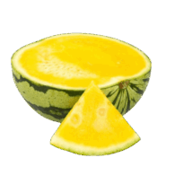 Watermelon Yellow Seedless freshleaf uae