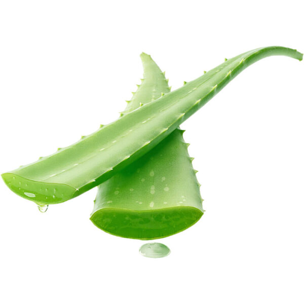 aloe vera freshleaf dubai uae