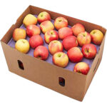 apple royal gala box freshleaf dubai uae