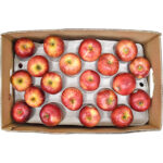 apple royal gala box freshleaf dubai uae