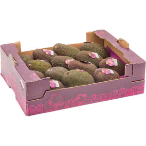 avocado hass box mexico freshleaf dubai uae