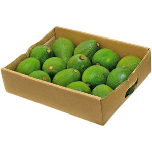 avocado kenya box freshleaf dubai uae