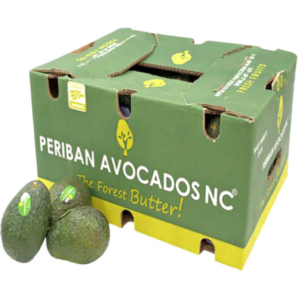 avocado periban box mexico freshleaf dubai uae