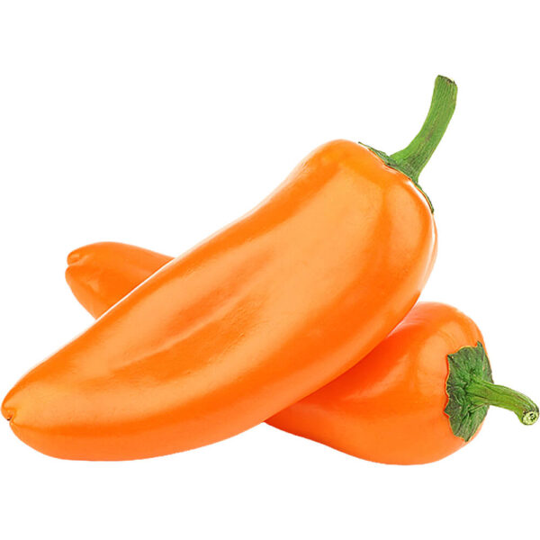 baby capsicum orange freshleaf dubai uae