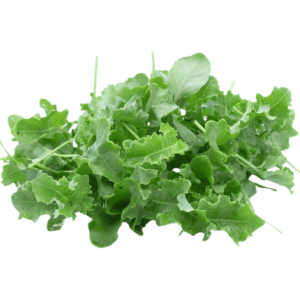 baby kale uae freshleaf dubai uae