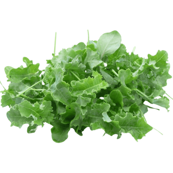 baby kale uae freshleaf dubai uae