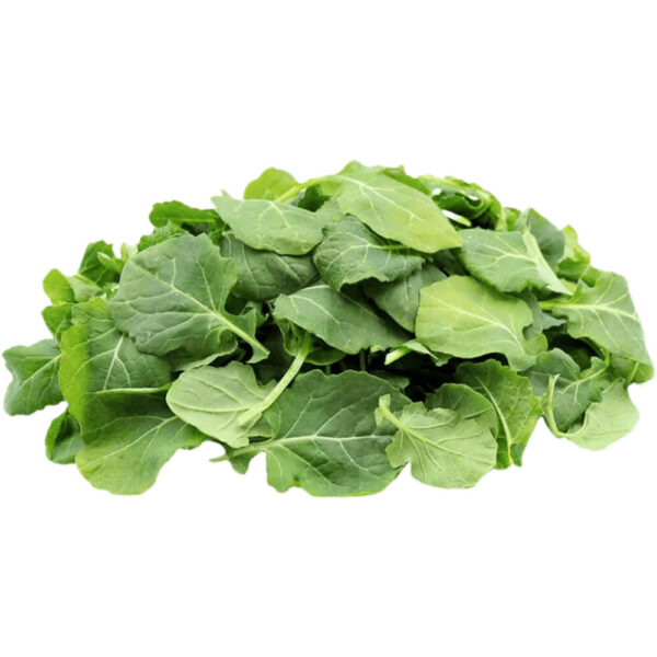 baby kale usa freshleaf dubai uae