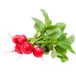 baby radish red freshleaf dubaiuae