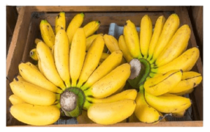 banana small box dubai freshleaf uae