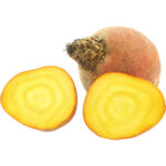 beetroot-yellow-netherlands-freshleaf-dubai-uae