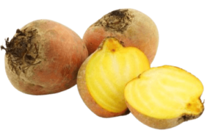 beetroot yellow netherlands freshleaf uae