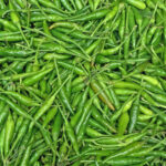 bird chilli green thailand freshleaf dubai uae