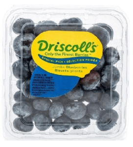 blueberry driscoll's in dubai by freshleaf uae