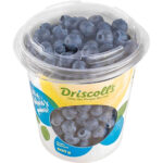 blueberry driscolls usa freshleaf dubai uae