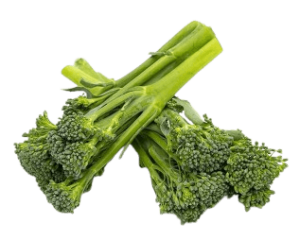 broccolini dubai freshleaf uae